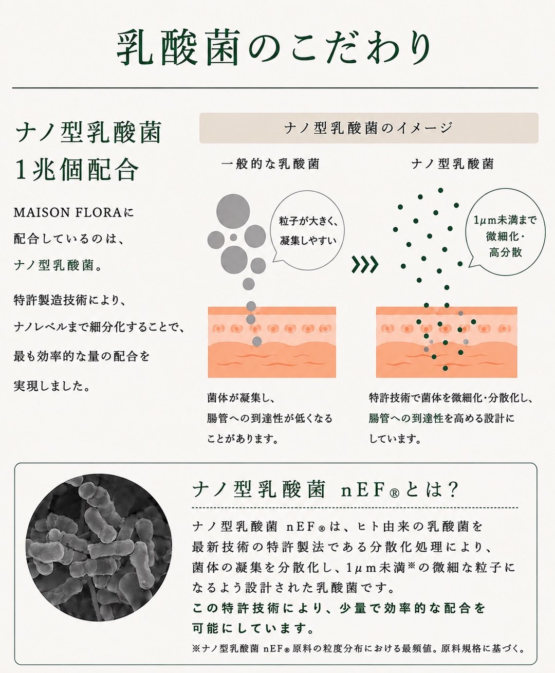 乳酸菌のこだわり ── ナノ型乳酸菌 nEF® を1兆個配合