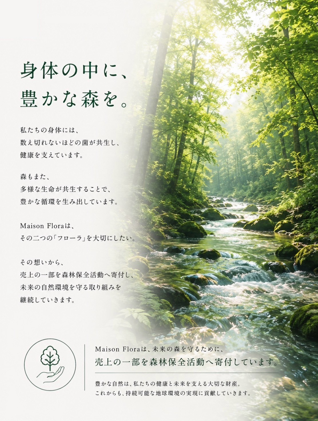 身体の中に、豊かな森を。売上の一部を森林保全活動へ寄付しています
