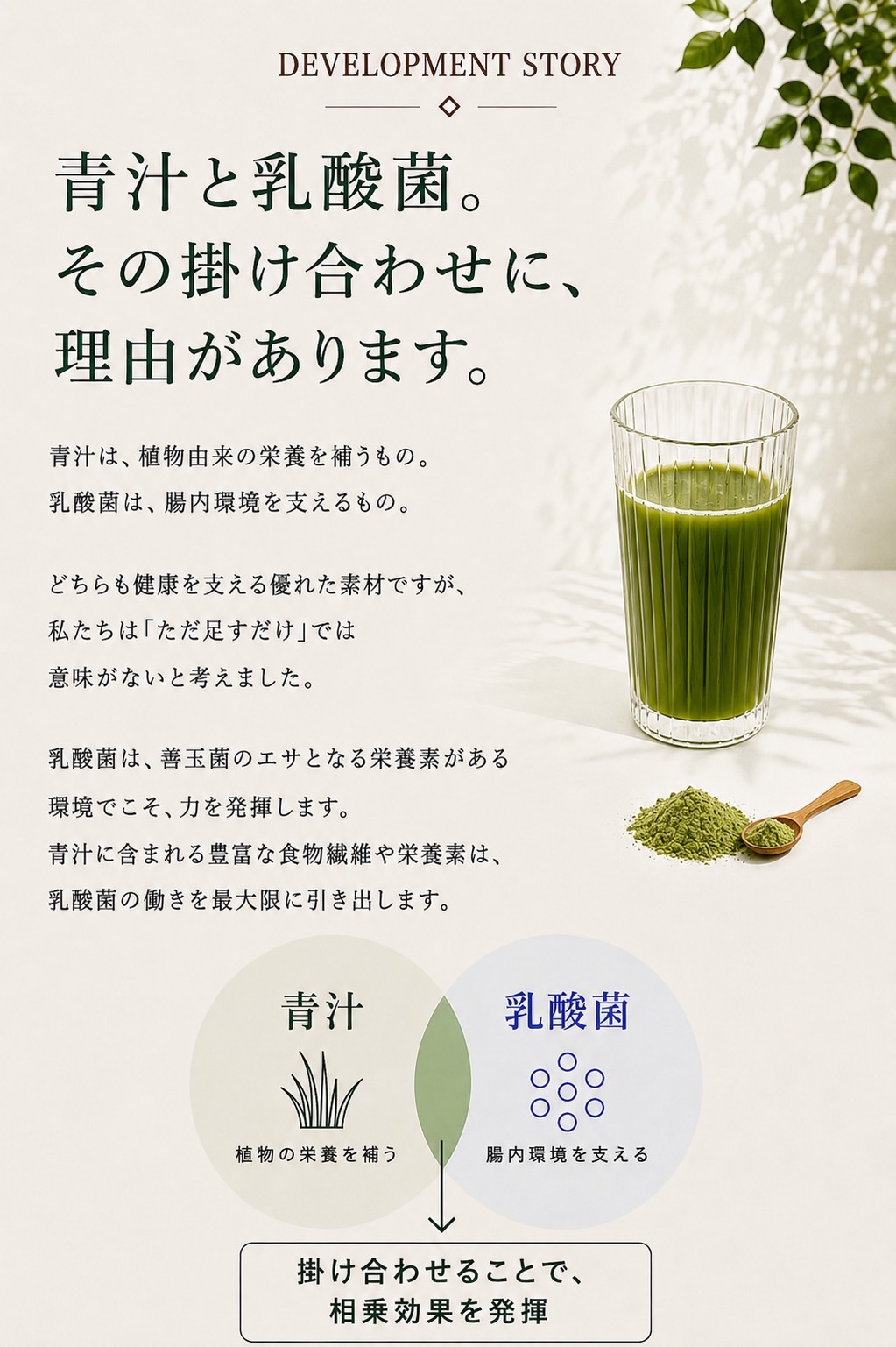 DEVELOPMENT STORY ── 青汁と乳酸菌。その掛け合わせに理由があります